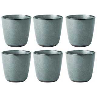 Aida RAW Mugg 0,30L 6 st Northern Green