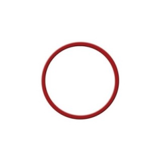 Rancilio Silvia Pannpackning