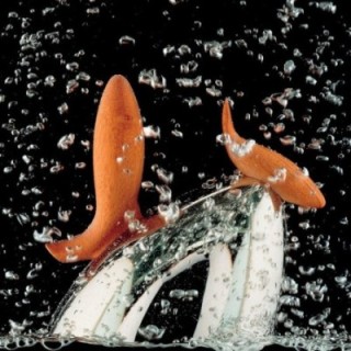 Alessi Pito Vattenkokare 1,8L