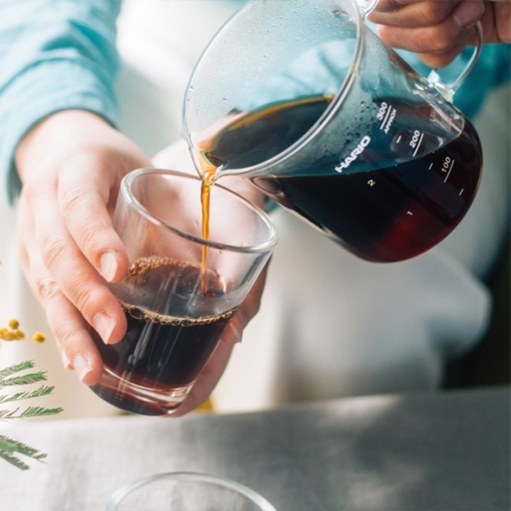 Hario Craft Science Beaker Filterbryggningsset