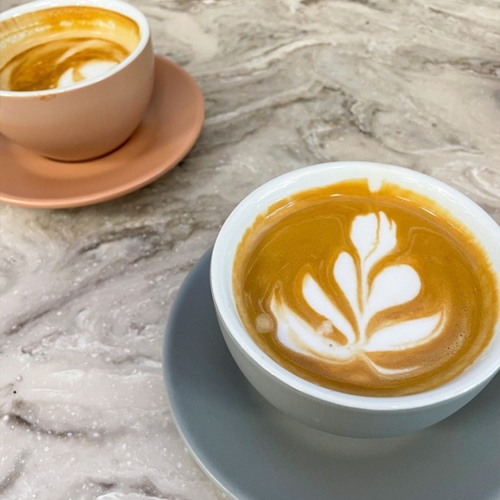 Club House Tulipano Cappuccino med underfat matt grå 26 cl 6 st