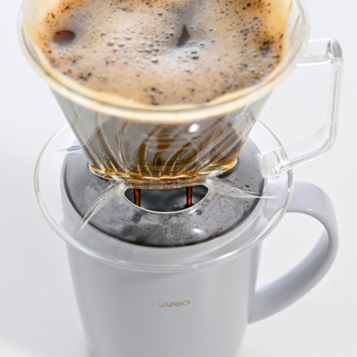 Hario Pegasus Plast Dripper 02 Transparent