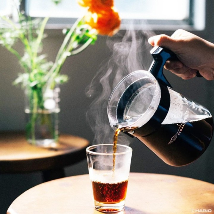 Hario Pegasus 01 Server 300ml