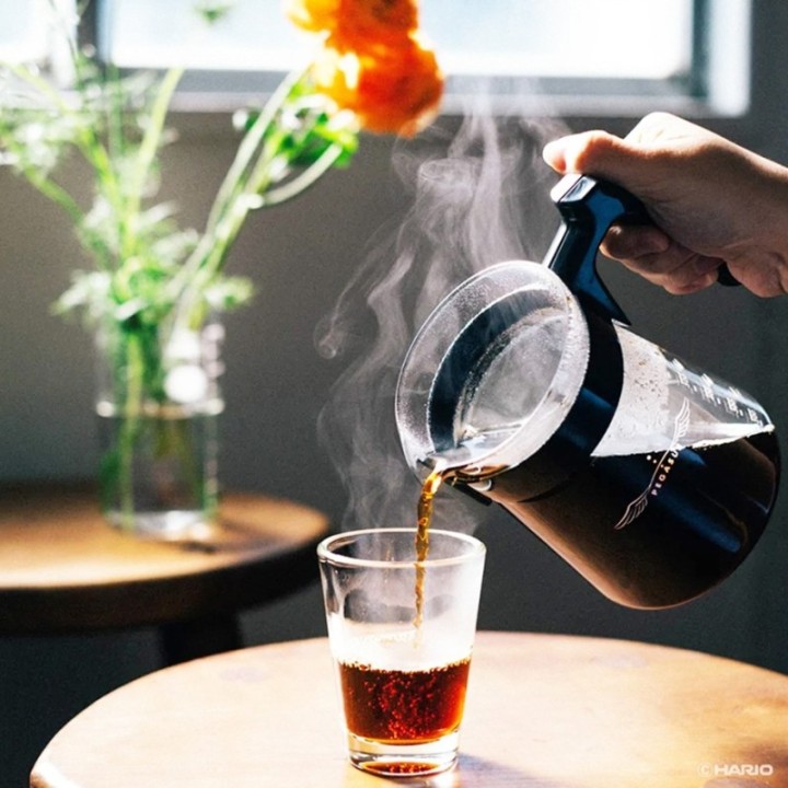 Hario Pegasus 02 serveringskanna 600 ml