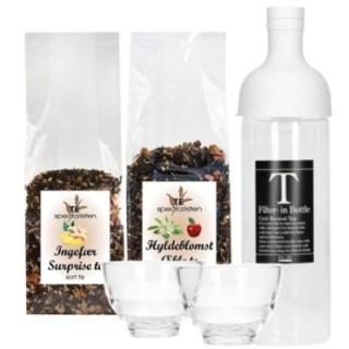 Hario Filter-In Istebryggare Grå Inkl. Ingefära Surprise & Fläderblom Äpple Te 100g