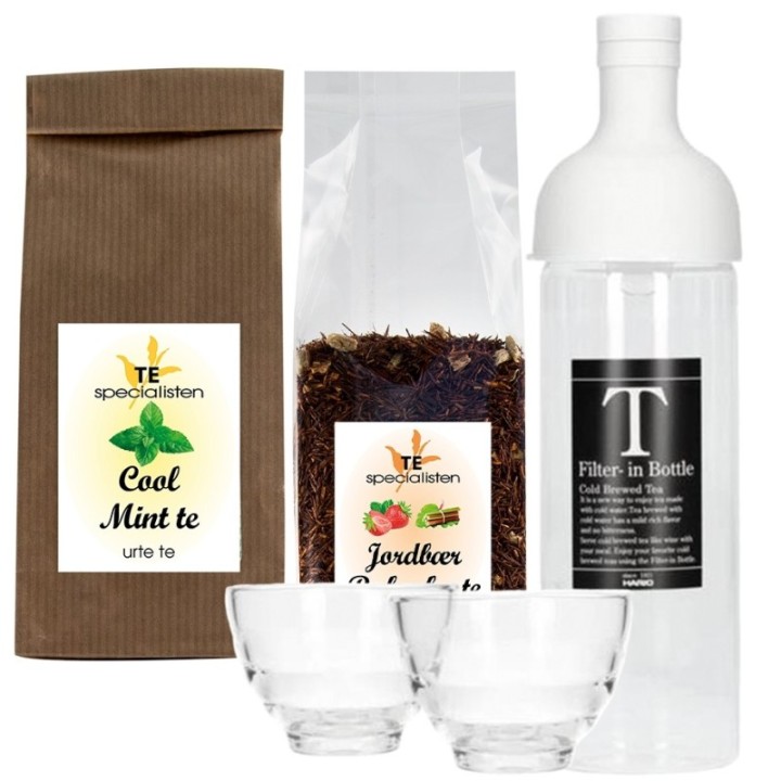 Hario Filter-In 0,75 L Istebryggare grå Inkl. Cool Mint Örtte 80 g & Rooibos Rabarber & Jordgubbste 100 g