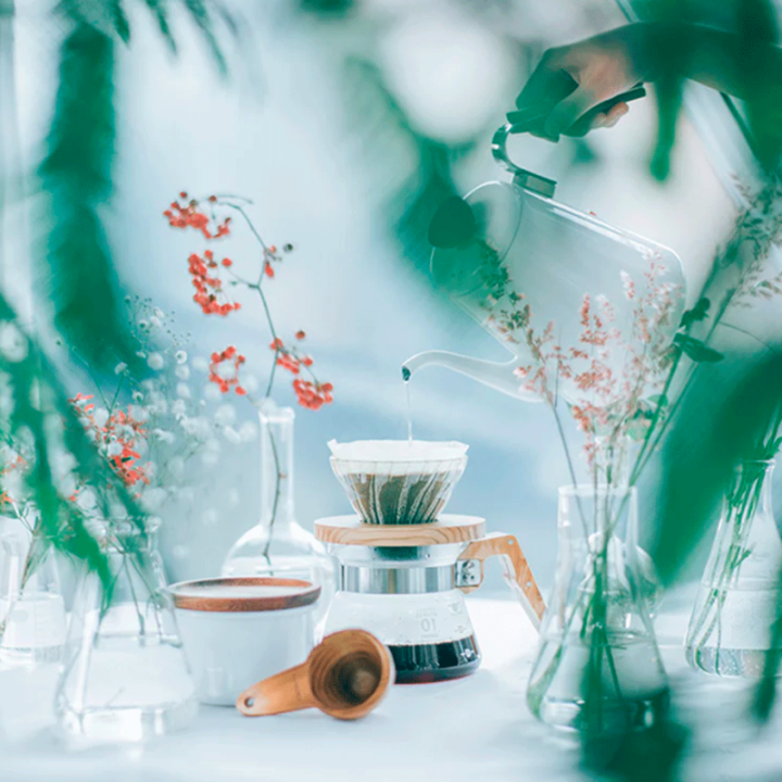 Hario V60-01 Glas Dripper Oliventræ 1 Kop.