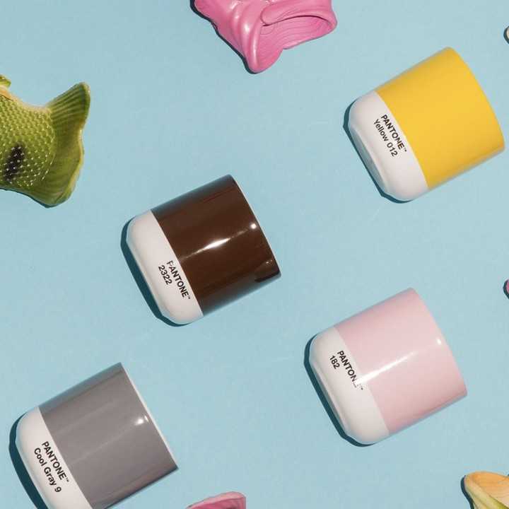 Pantone Latte Termomugg 0,22L Mörkgrå