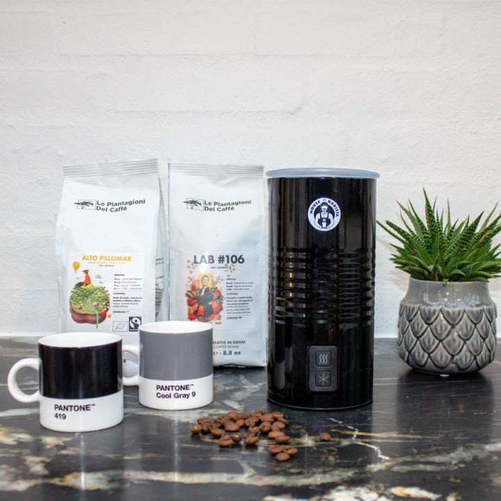 House of Barista Elektrisk Mjölkskummare