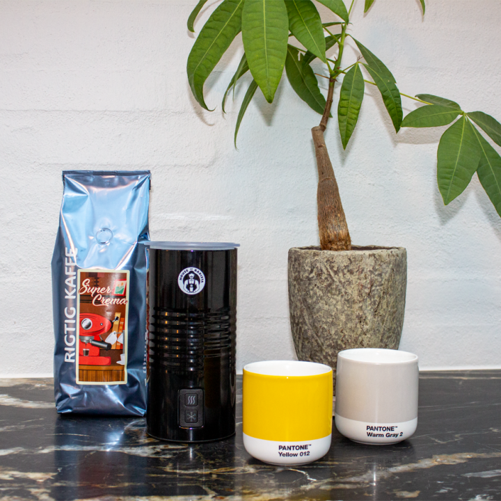 House of Barista Elektrisk Mjölkskummare
