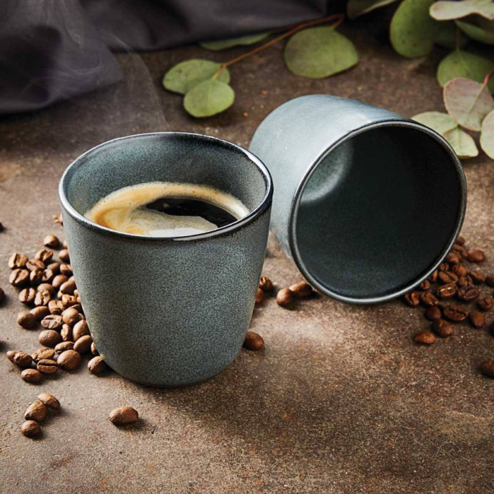 Aida RAW Mugg 0,30L 6 st Northern Green