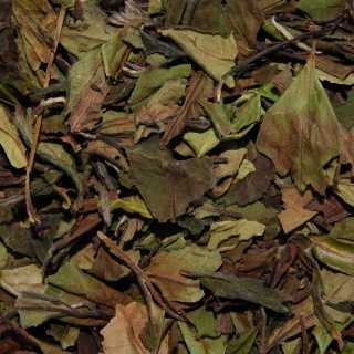 China Pai Mu Tan Vit Te 1kg