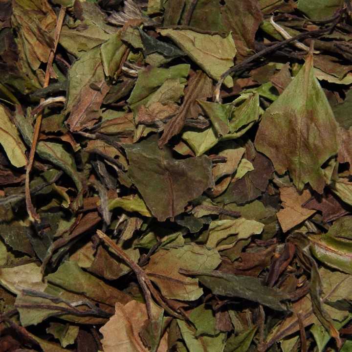 China Pai Mu Tan Vit Te 1kg