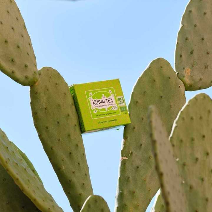 Kusmi Grönt Te Citron och Ingefära Ekologiskt 100g