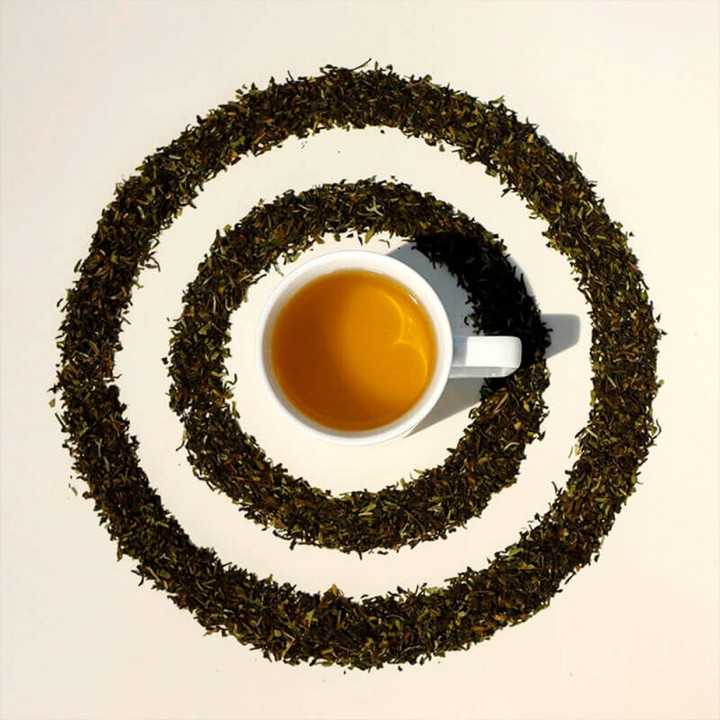 Kusmi Te Earl Grey Ekologiskt 100g