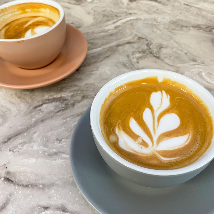 Club House Tulipano Cappuccino med Underkopp Matt Grå 26 cl 6 St