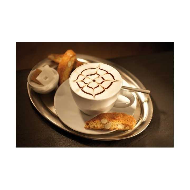 Motta Latte Art Penna