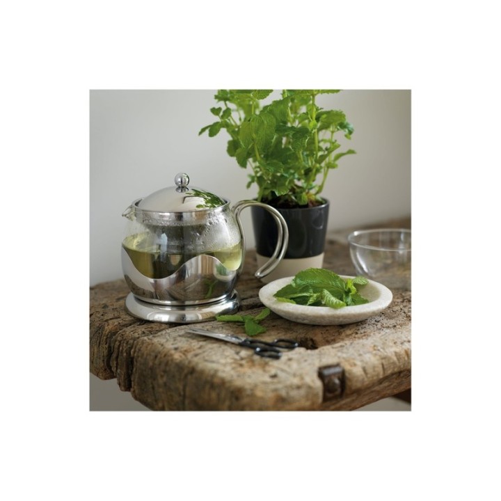 La Cafetière Izmir 4 koppar tebryggare stål