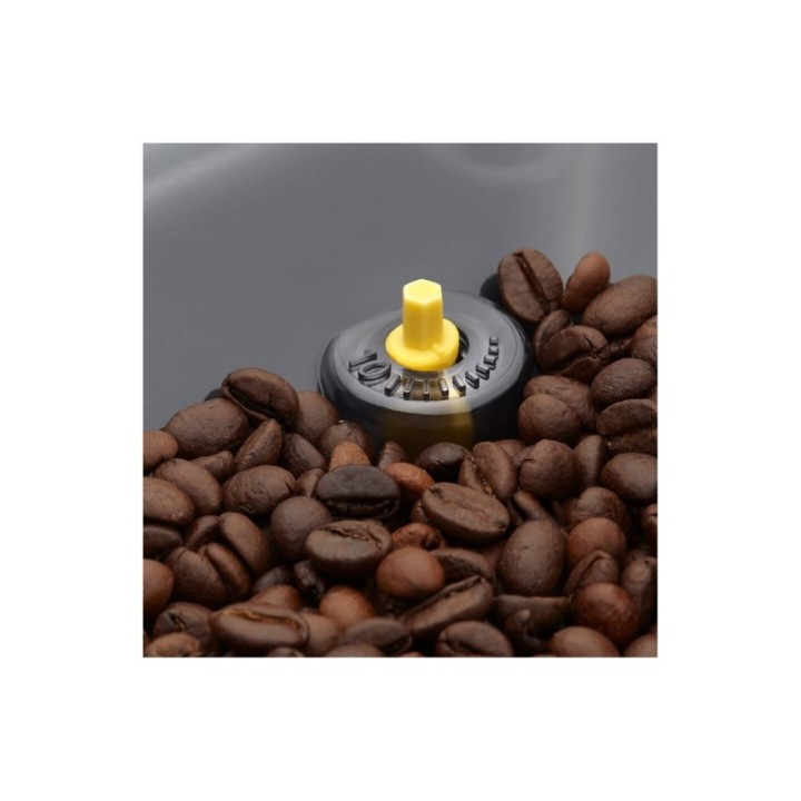 Gaggia Cadorna Prestige inkl. 5 kg Rigtig Kaffe Crema Intenso