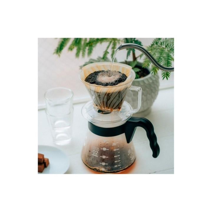 Hario Pegasus Plast Dripper 02 Transparent