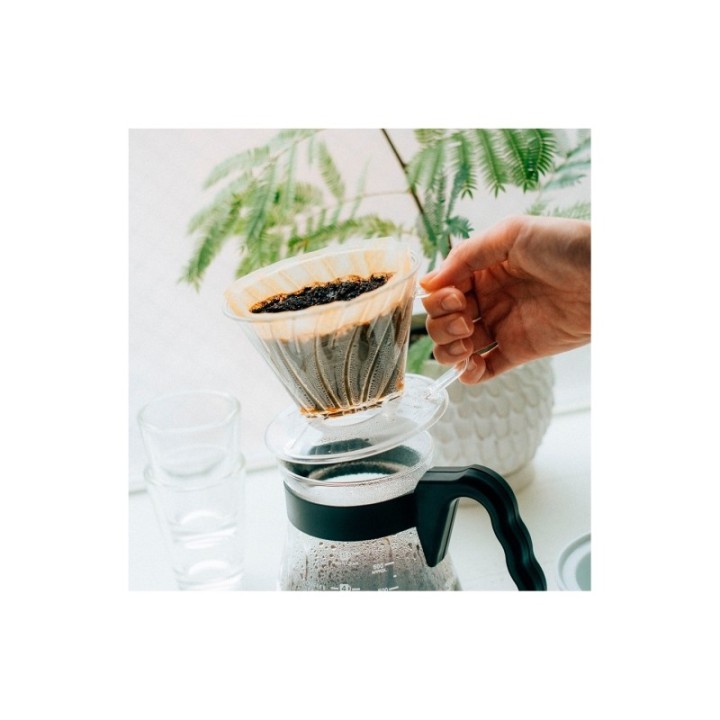 Hario Pegasus Plast Dripper 02 Transparent