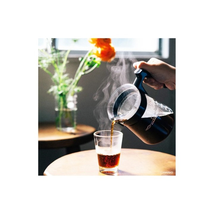 Hario Pegasus 02 serveringskanna 600 ml