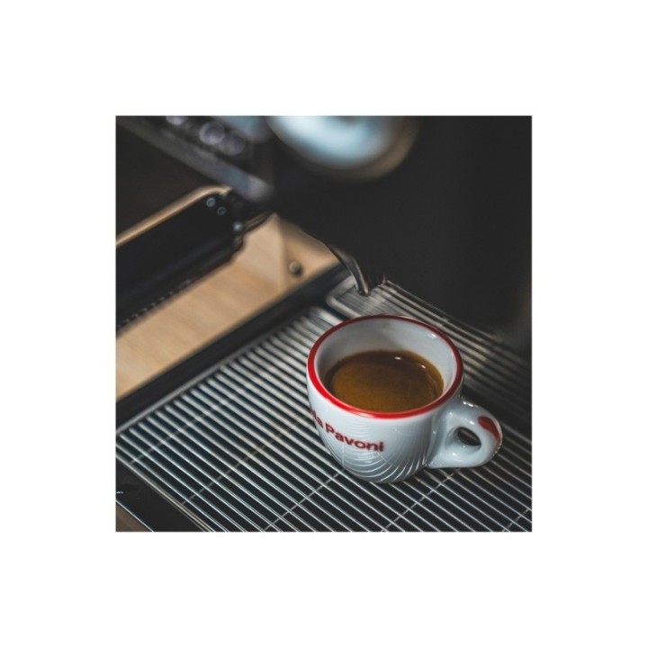 Rancilio Silvia espressomaskine. Køb din Silvia online. Gratis fragt.